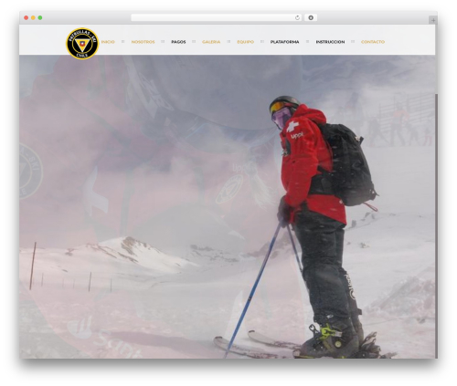 A team showcase WordPress plugin - patrullas.cl