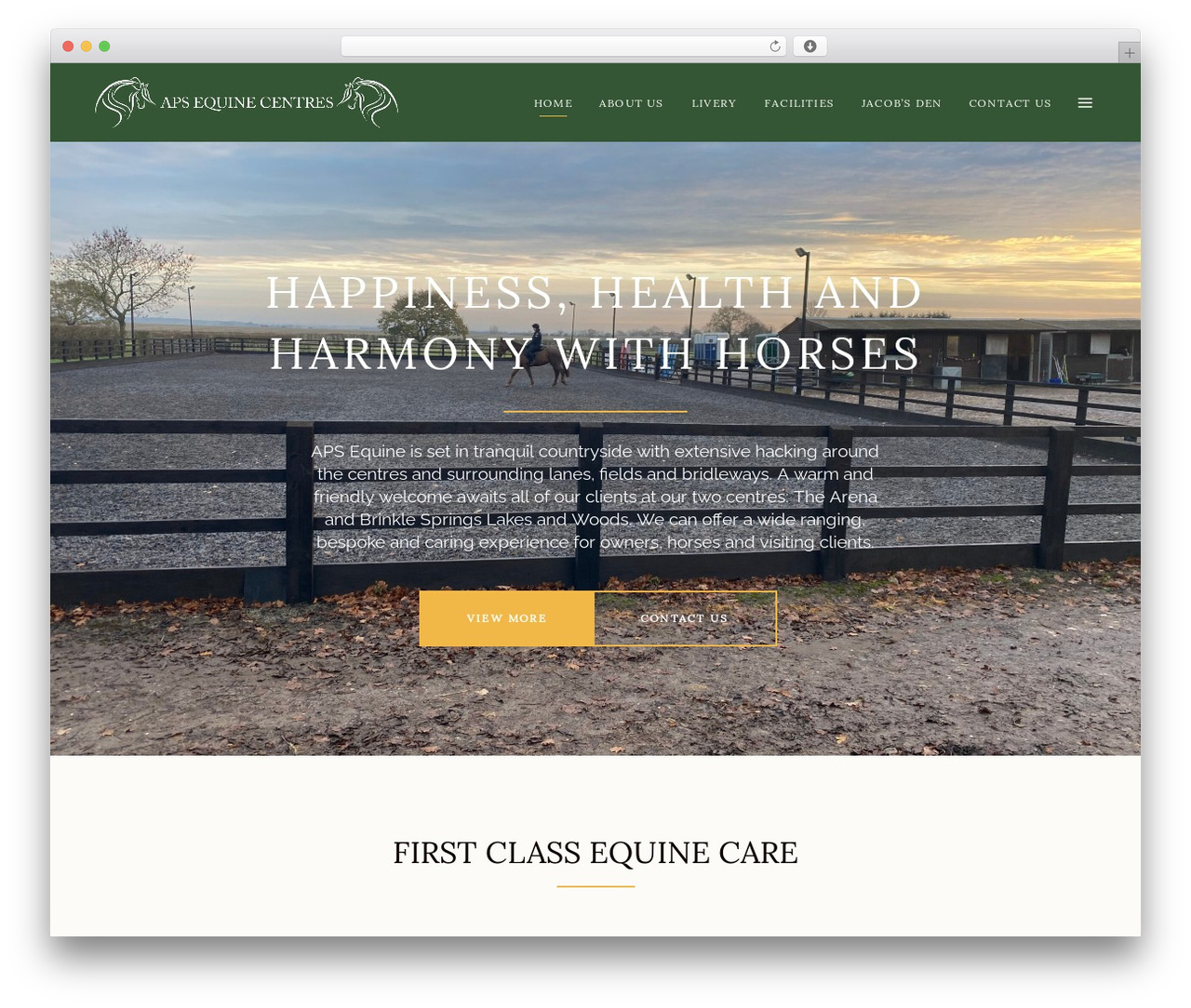 WordPress theme Equine - aps-equine.com WordPress theme Equine - aps-equine.com