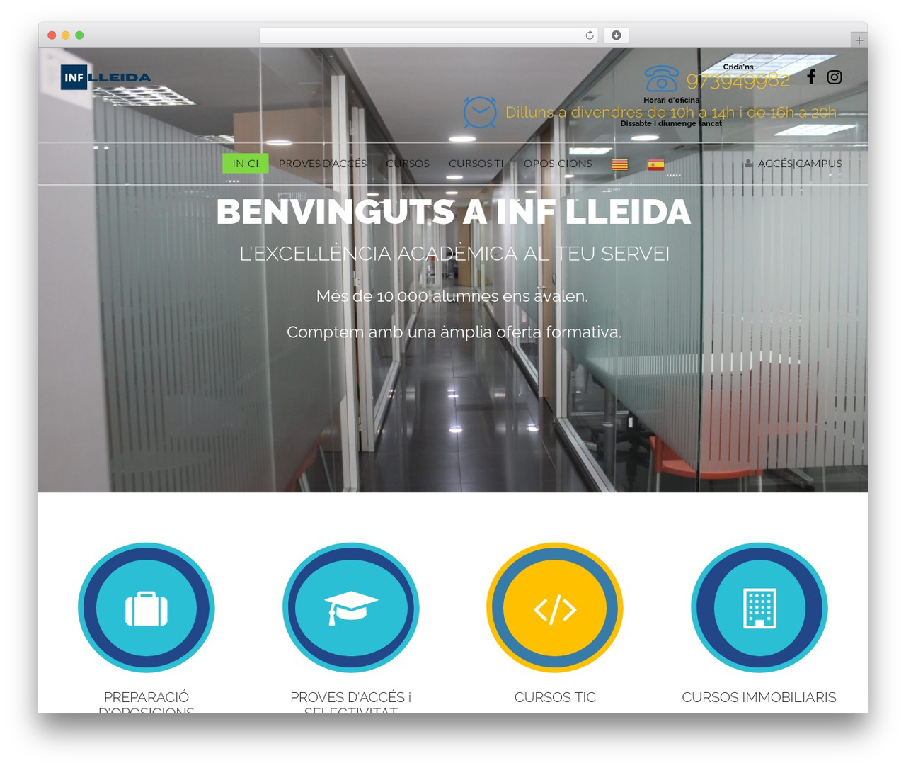 WordPress theme Skilled - inflleida.com