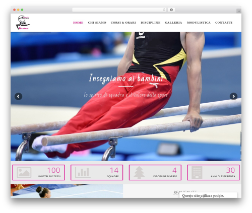 WP Suarez theme WordPress - ginnasticaaironemantova.com
