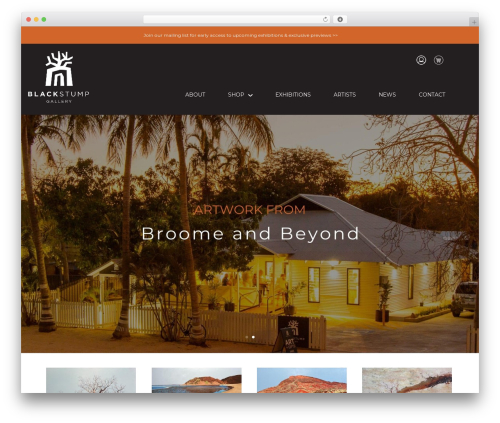 WP theme Divi - blackstumpgallery.com