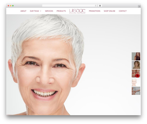 Accesspress social icons pro WordPress plugin - visagehairandnail.com