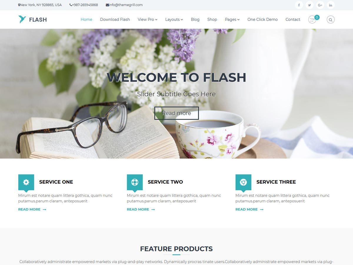 WP theme IGNIS Thème by IGNIS