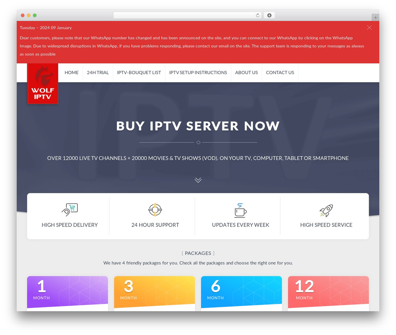 Wolf IPTV WordPress page template by wpdesigner
