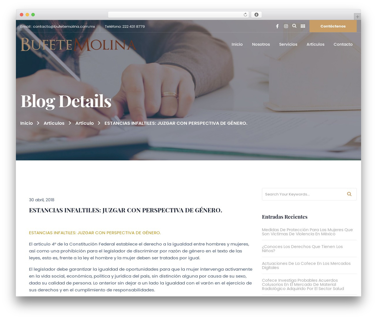 WordPress theme Decision Child - bufetemolina.com.mx/es