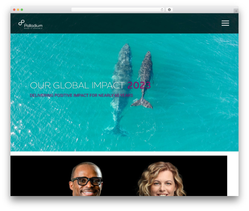 Dc divi accessibility helper WordPress plugin - ogi.thepalladiumgroup.com