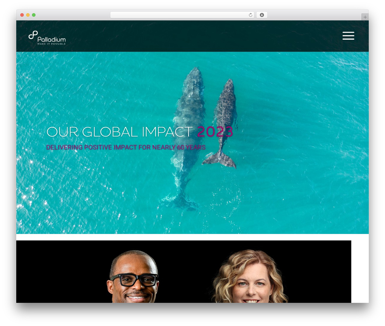 Divi Child Theme WordPress theme - ogi.thepalladiumgroup.com