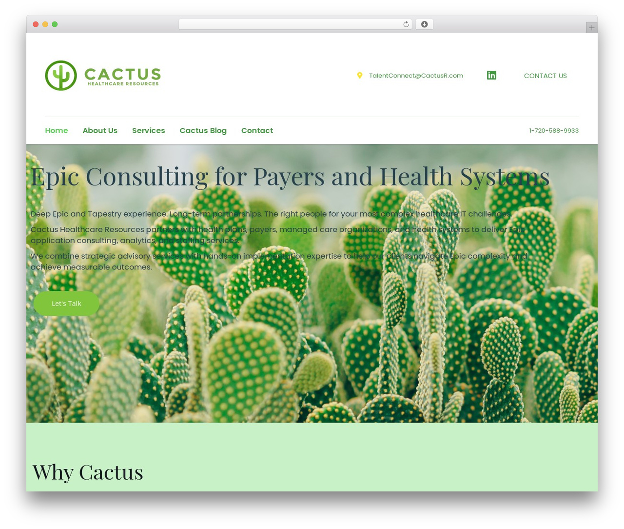 Theme WordPress Consulting - cactusr.com Theme WordPress Consulting - cactusr.com