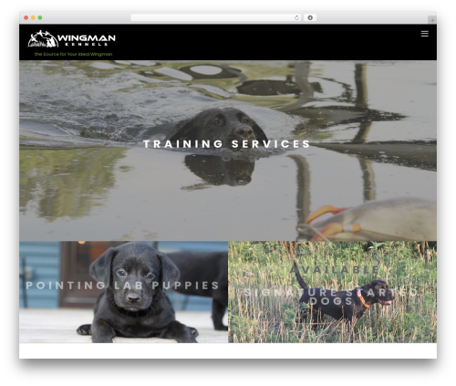 Themify tiles WordPress plugin - wingmankennels.com