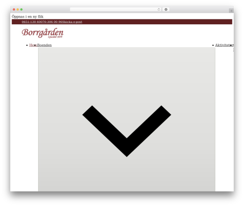 Wp social ninja pro WordPress plugin - borrgarden.se