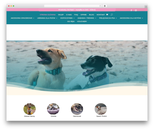 Blue Media (platnosci-online-blue-media) free WordPress plugin - willow-dog.com