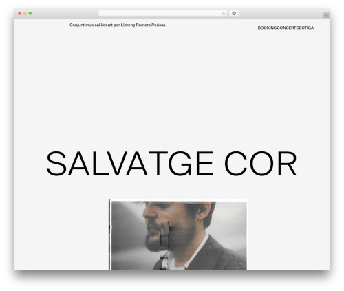 Big cartel importer WordPress plugin - salvatgecor.com