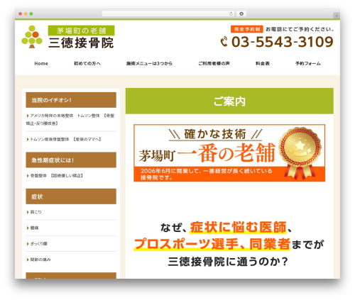 Mts simple booking c WordPress plugin - 3109.info