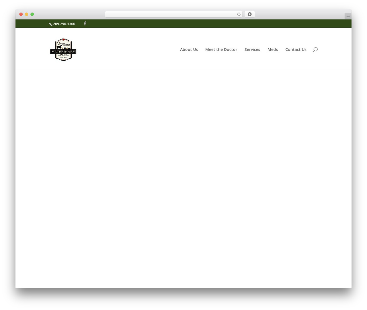 Divi theme WordPress - upperridgevet.com Divi theme WordPress - upperridgevet.com