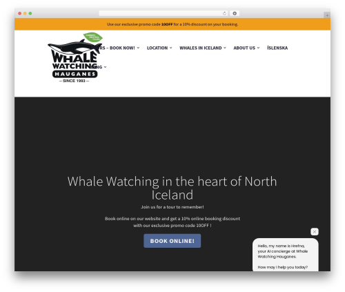 Divi WordPress theme - whales.is