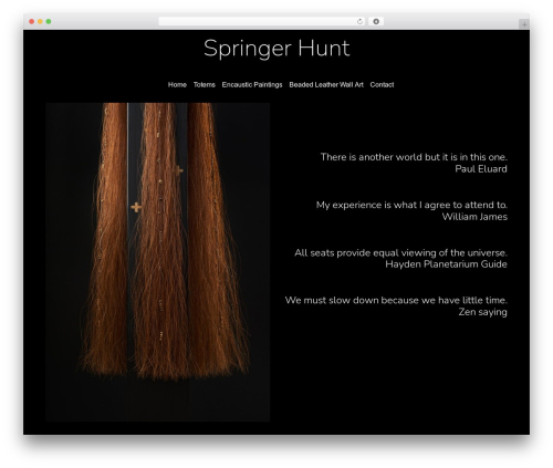 Rare WordPress theme - springerhunt.com