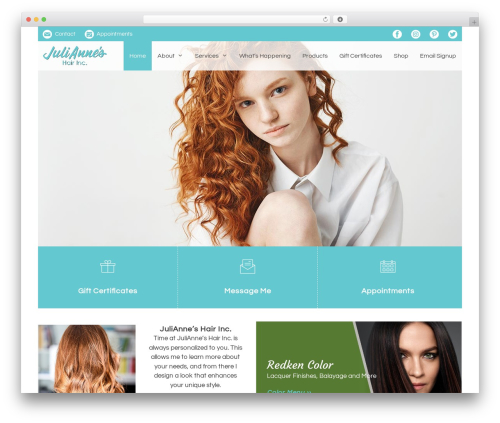 Accesspress social icons pro WordPress plugin - juliannessalon.com
