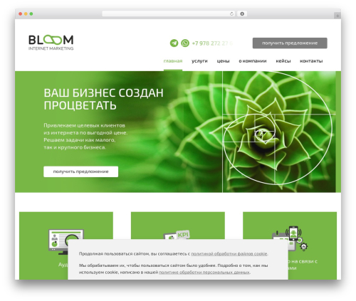 WordPress theme Bloom - bebloom.ru WordPress theme Bloom - bebloom.ru