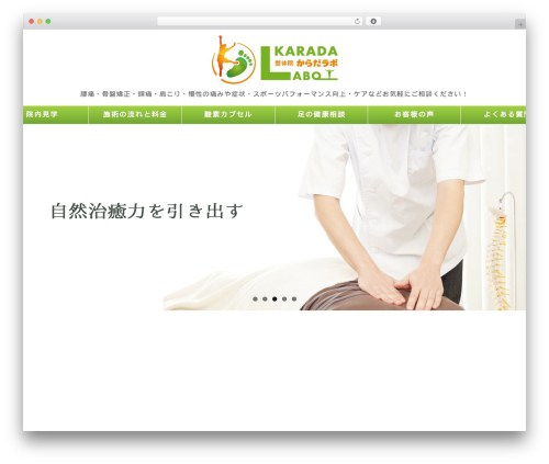 WordPress theme Healer - karadalabo.info