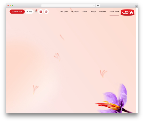 Hello Elementor top WordPress theme - ravangco.com