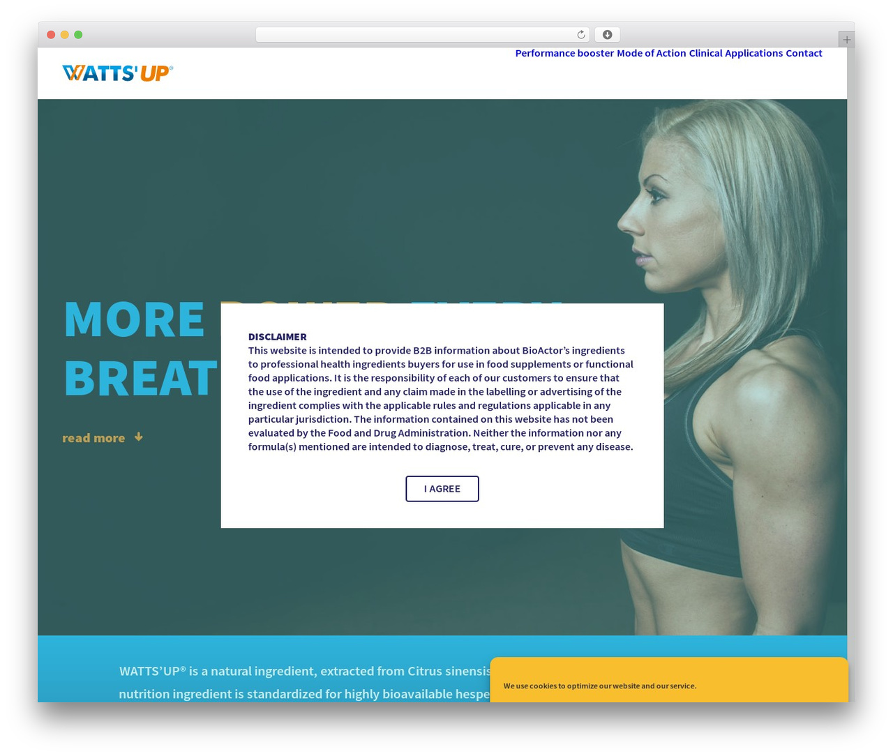 Webdesign Rene Veugen WordPress theme - wattsup.eu