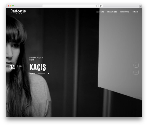 WordPress theme JackRyan - adonisfilm.com