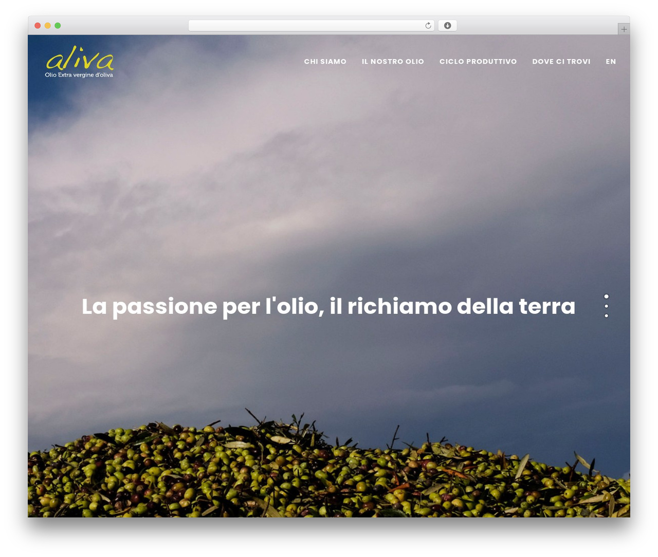 Andre theme WordPress - alivaextra.it Andre theme WordPress - alivaextra.it