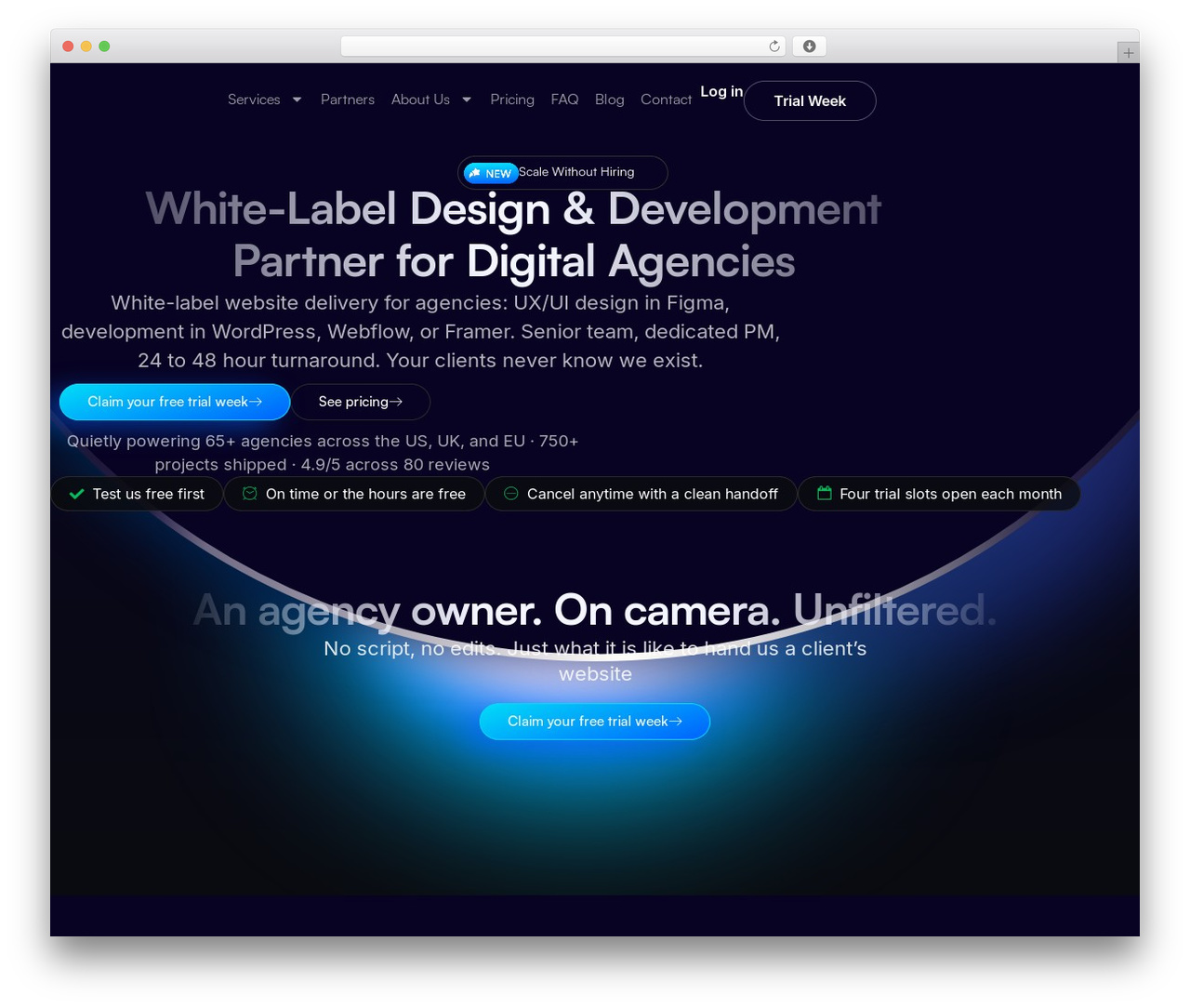 Hello Elementor WordPress theme - devhush.com Hello Elementor WordPress theme - devhush.com