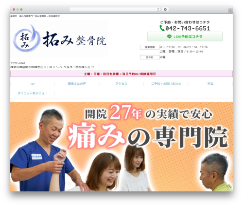 Selfull WordPress theme - takumi-pain.com