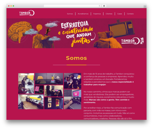 Optimizer PRO theme WordPress - tamborcom.com.br