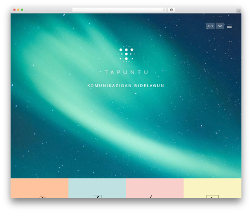 TaPuntu WordPress theme - tapuntu.eus