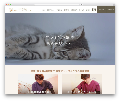 とがし整体 WordPress theme - tsl-seitai.com