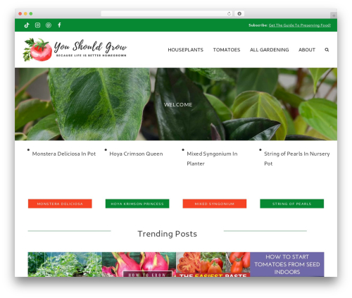 Social rocket pro WordPress plugin - youshouldgrow.com