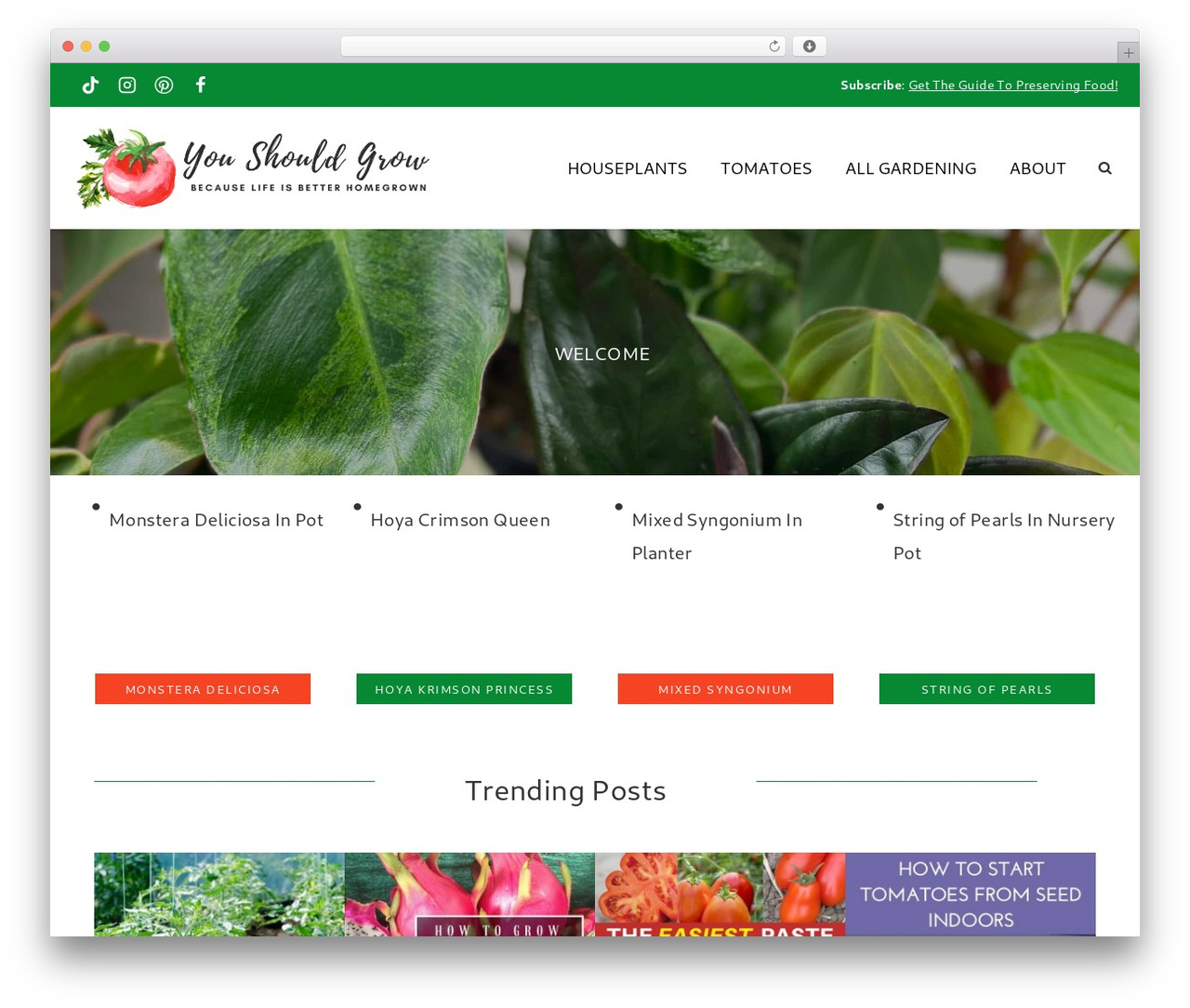 Create WordPress theme - youshouldgrow.com