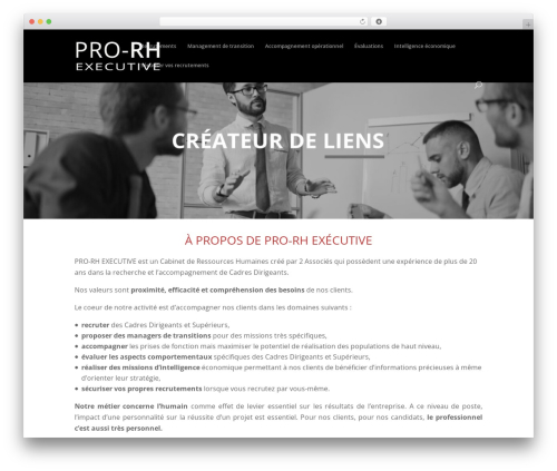 Divi theme WordPress - prorhexecutive.com