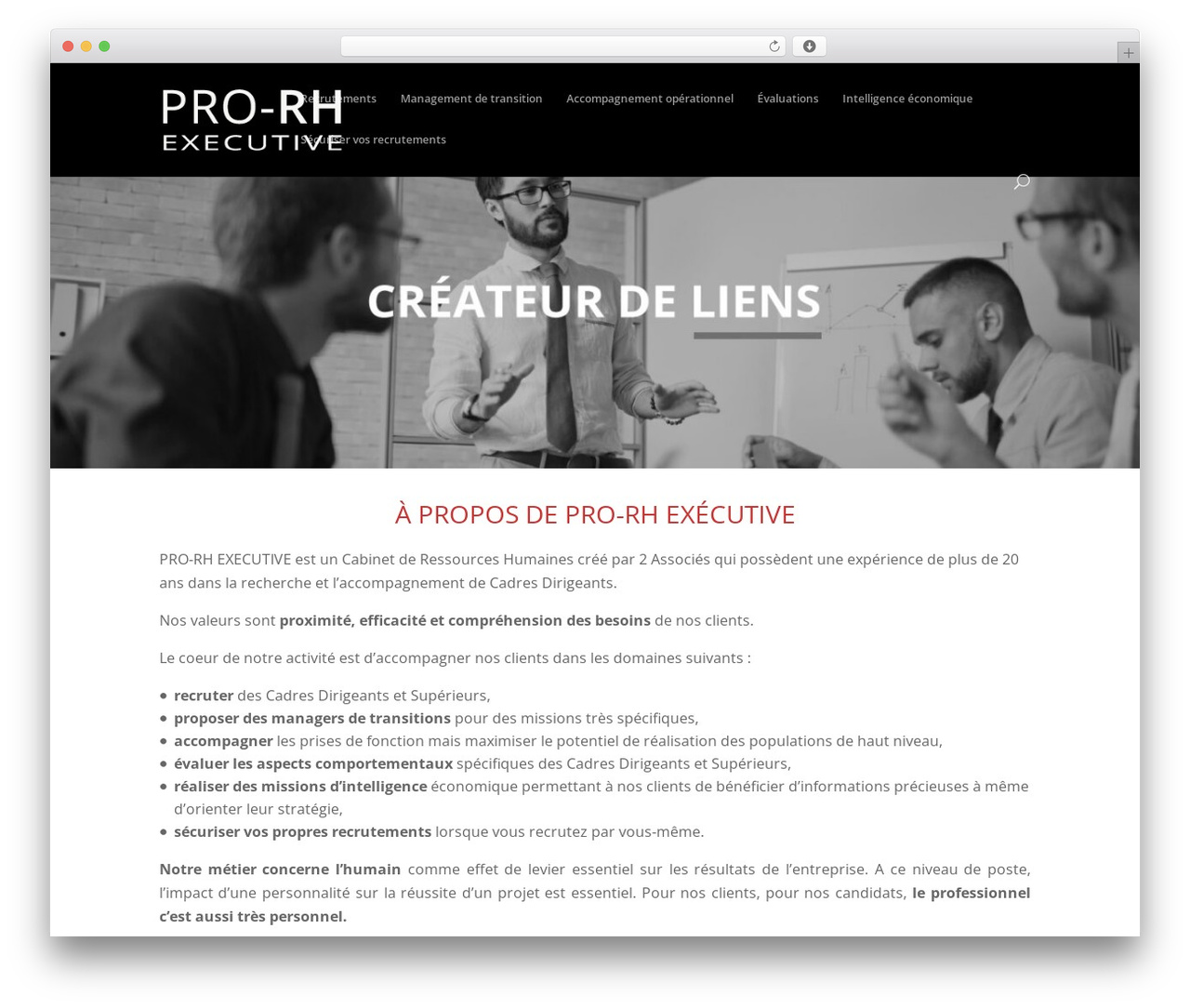 PRO-RH EXECUTIVE theme WordPress - prorhexecutive.com