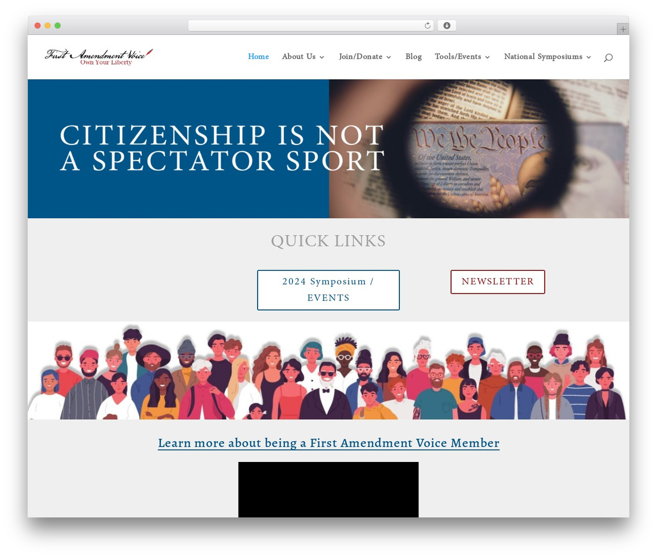 Divi WordPress theme - firstamendmentvoice.org