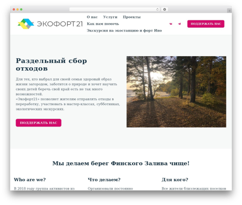 Kandinsky theme WordPress - ecofort21.ru