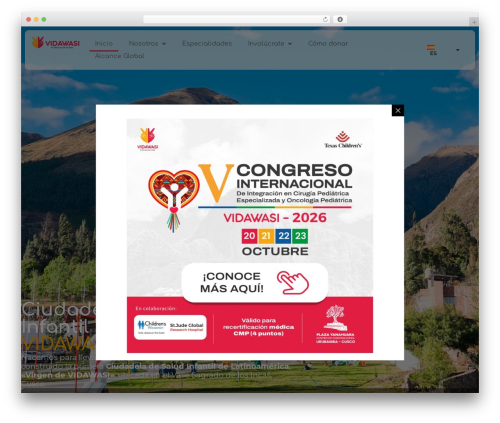 Monkey Starter Theme WordPress theme - vidawasiperu.org