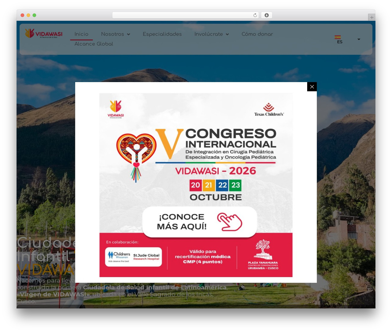 Monkey Starter Theme WordPress theme - vidawasiperu.org