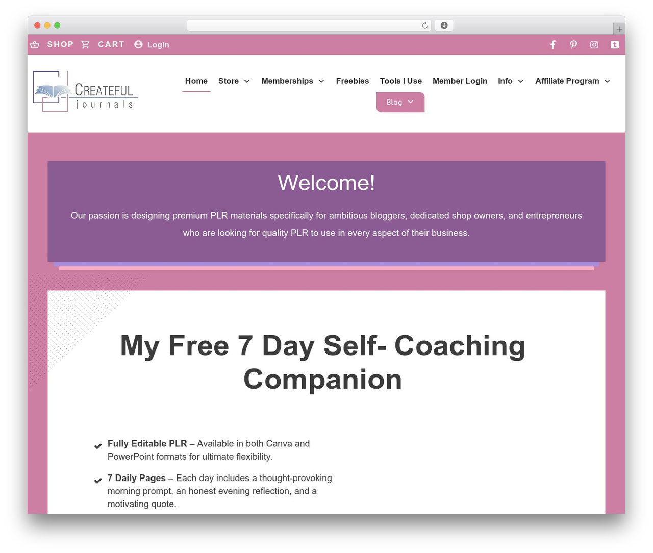 Thrive Theme Builder WordPress theme - createfuljournals.com