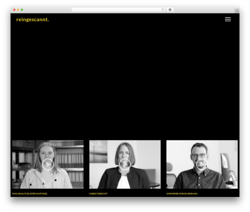TV Elements WordPress website theme - reingescannt.de