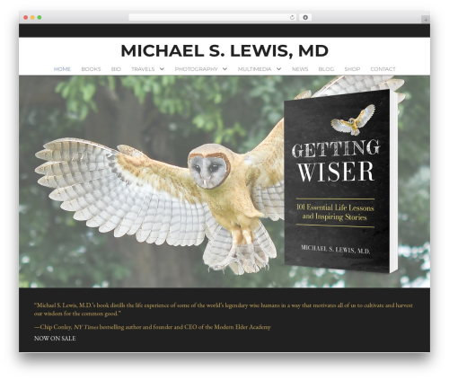 Novelist (novelist) free WordPress plugin - michaelslewismd.com