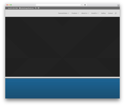 Feeds for tiktok WordPress plugin - mag-led.com