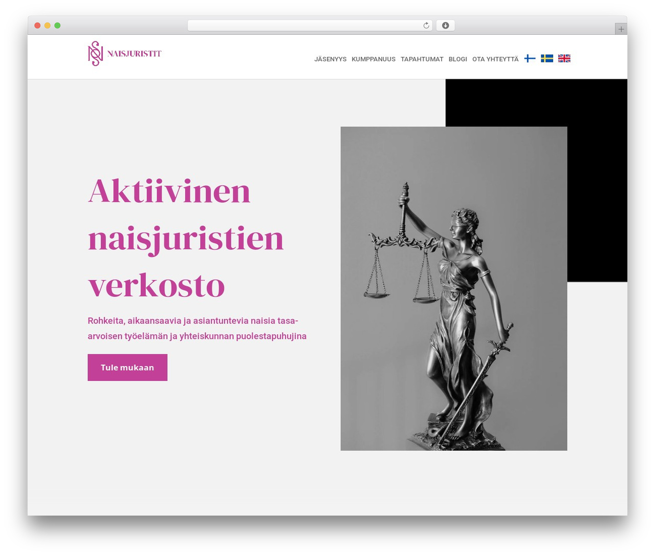 Divi WordPress theme - naisjuristit.org