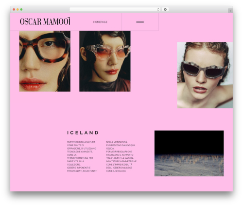 VIRA WordPress theme design - oscarmamooi.com