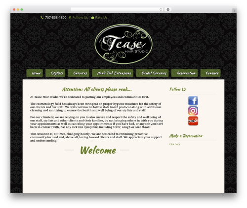 Vital WordPress theme - teasehairstudio.net