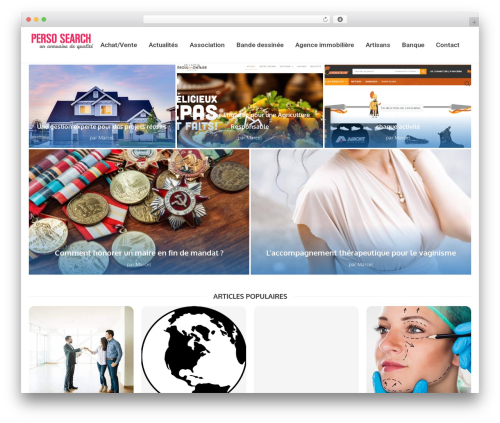 Toolinks posts WordPress plugin - perso-search.com