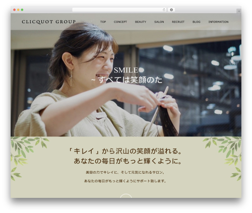 WordPress theme Switch - roku63.com