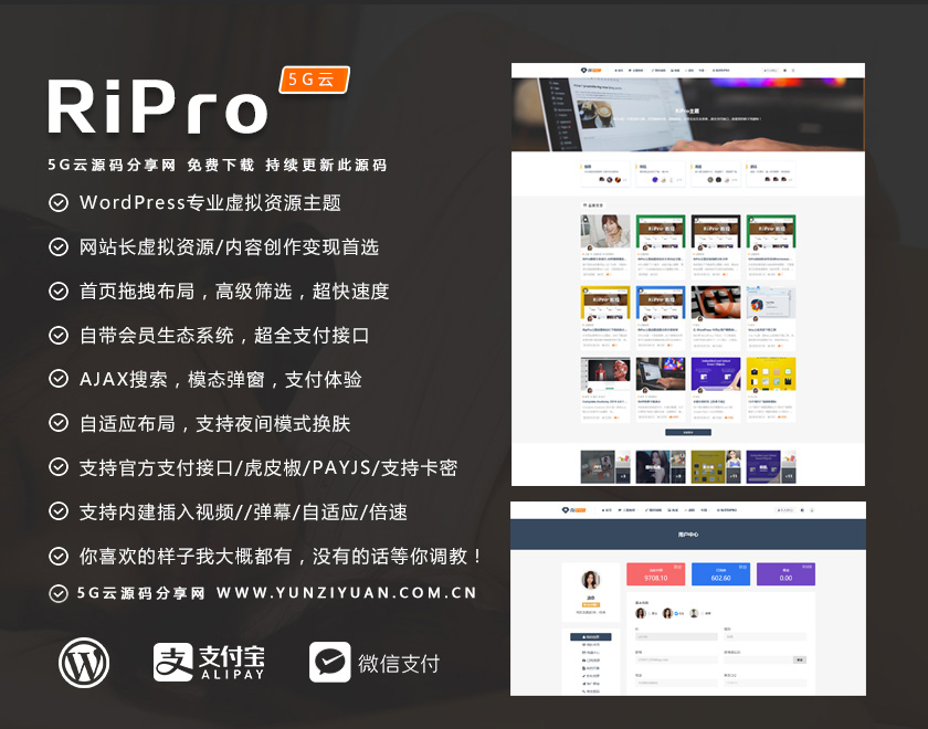 WP theme RiPro